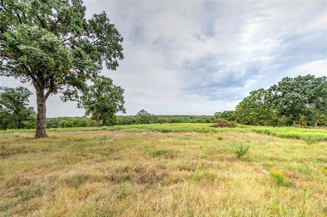 view of nature with a rural view