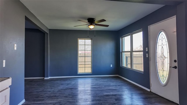 entryway featuring a wealth of natural light, ceiling fan, and dark hardwood / wood-style flooring