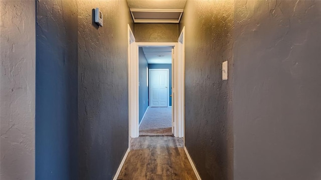 hall featuring wood-type flooring