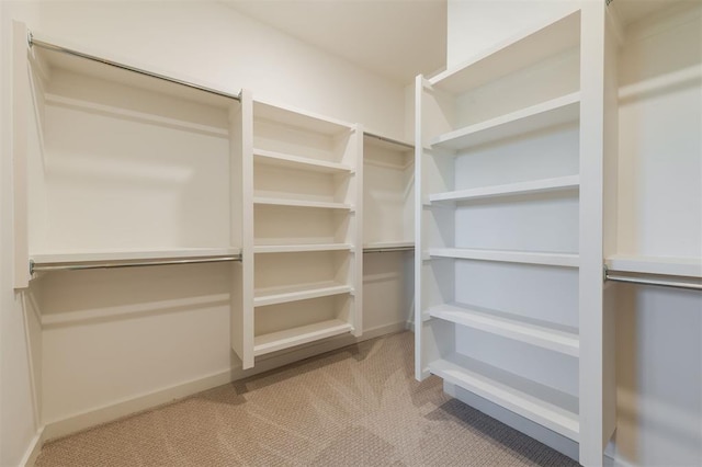 spacious closet with light colored carpet