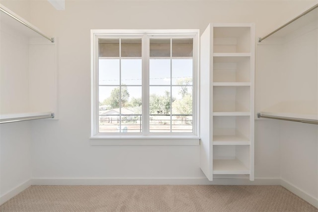 walk in closet featuring carpet flooring