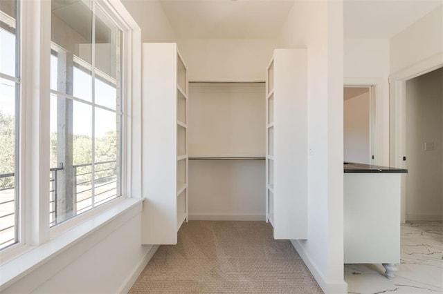 view of spacious closet