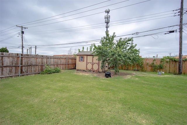 view of yard featuring a storage unit