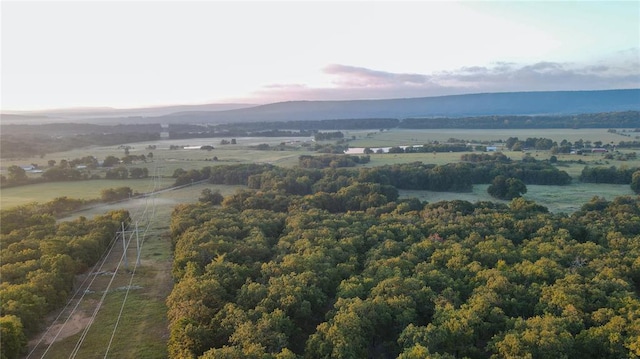 bird's eye view