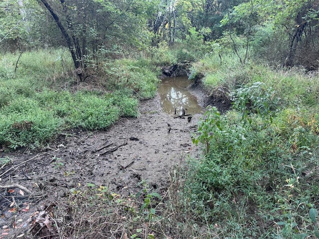 view of local wilderness with a water view