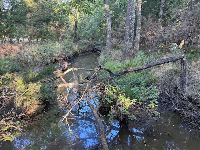 view of local wilderness