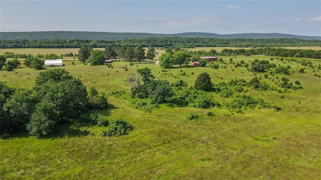 1345 State Highway 1, Hartshorne, OK 74547 - view of mountain background with rural landscape