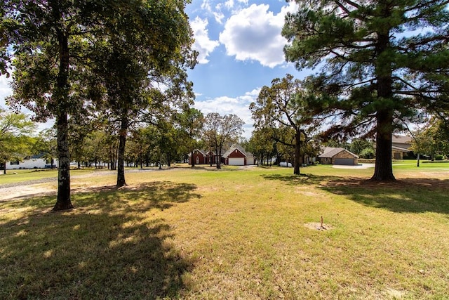 view of yard featuring a garage