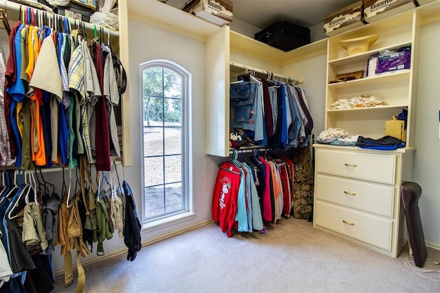 spacious closet featuring light carpet