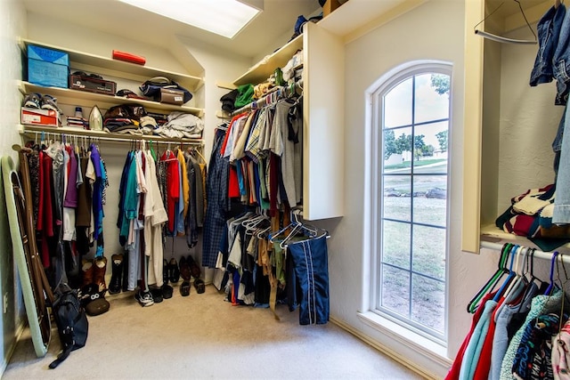 spacious closet featuring carpet flooring