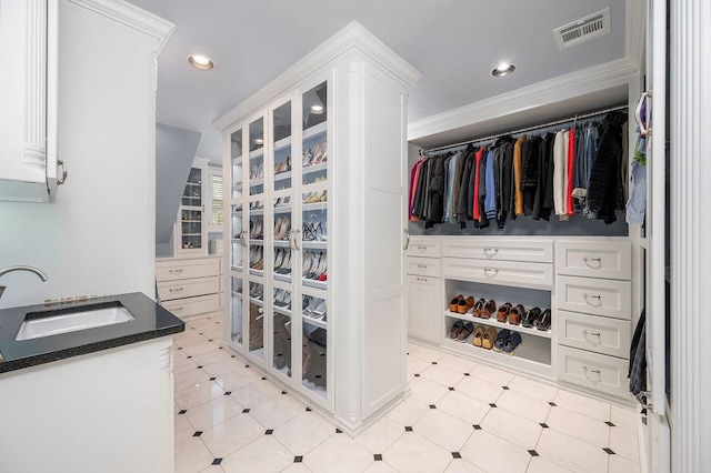 walk in closet with sink