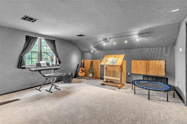 interior space featuring light carpet and lofted ceiling