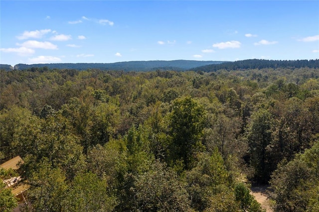 320 Lucian Sorrel Rd, Broken Bow, OK 74728 - photo 49