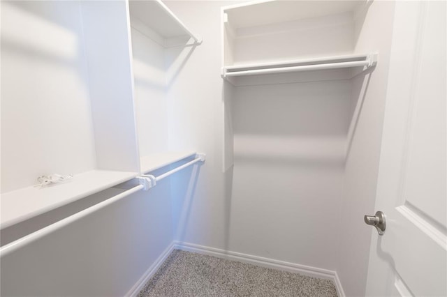 walk in closet with carpet flooring