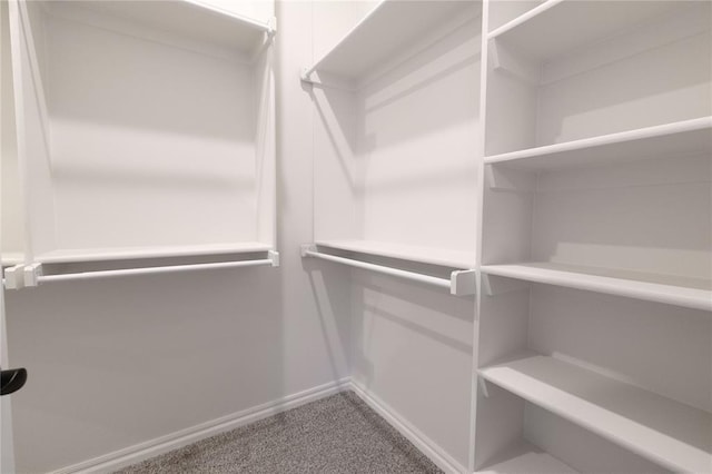 walk in closet with carpet