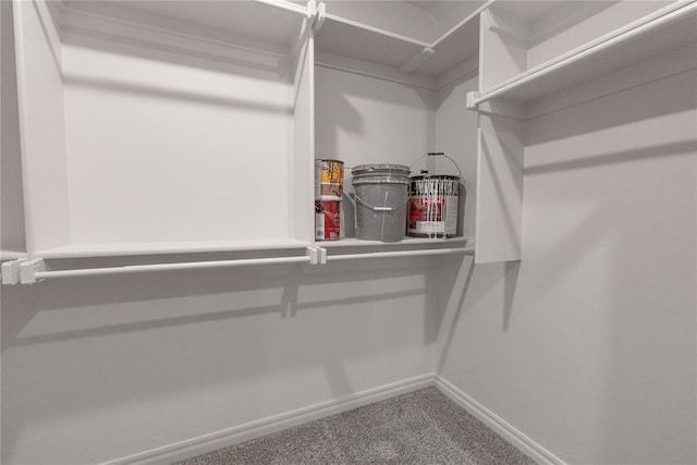 spacious closet with carpet floors