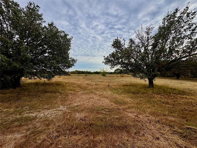 view of nature featuring a rural view