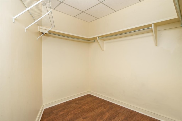 spacious closet featuring hardwood / wood-style floors