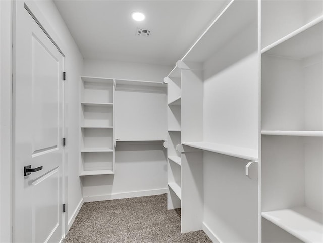 spacious closet with carpet flooring