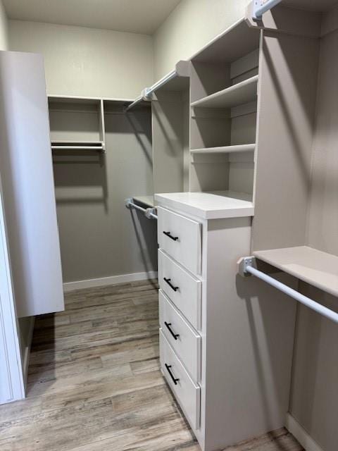 spacious closet featuring light wood-type flooring