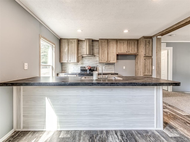 kitchen featuring backsplash, crown molding, sink, wall chimney range hood, and hardwood / wood-style floors