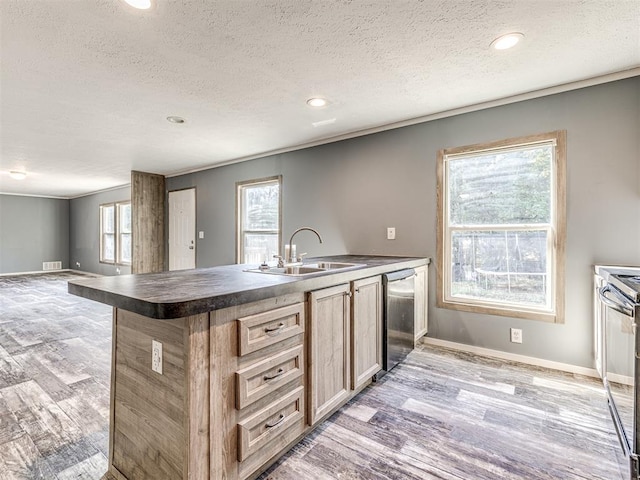 kitchen with sink, light hardwood / wood-style flooring, ornamental molding, a textured ceiling, and appliances with stainless steel finishes