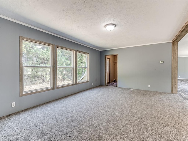 carpeted empty room with crown molding and a textured ceiling