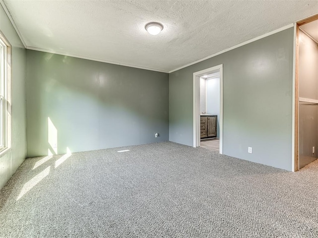 empty room featuring carpet flooring, a textured ceiling, and crown molding