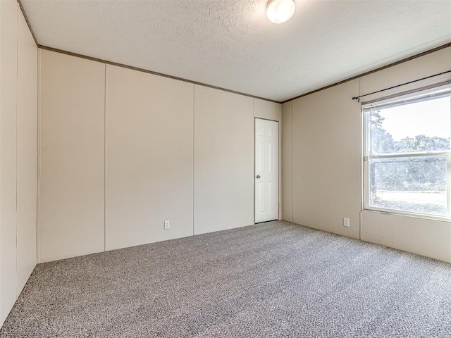 spare room featuring carpet and a textured ceiling