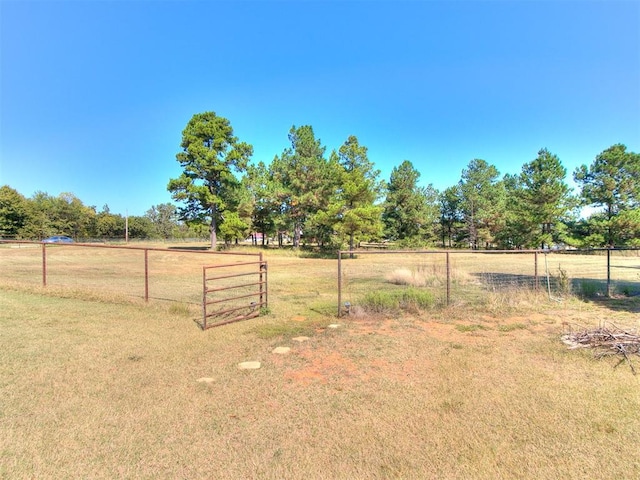 view of yard with a rural view