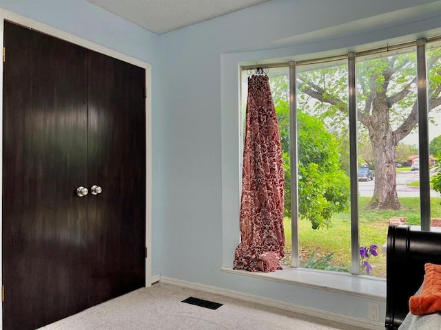 interior space featuring carpet, a healthy amount of sunlight, and a textured ceiling