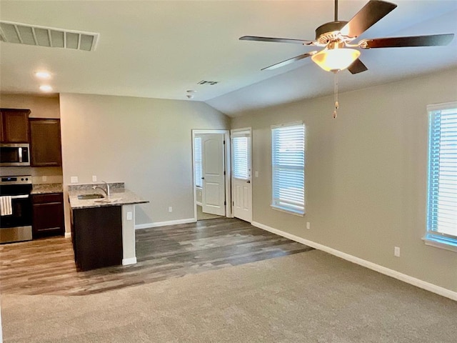 kitchen with carpet, appliances with stainless steel finishes, vaulted ceiling, and a wealth of natural light