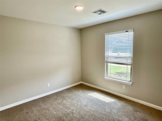 spare room featuring carpet flooring and a healthy amount of sunlight