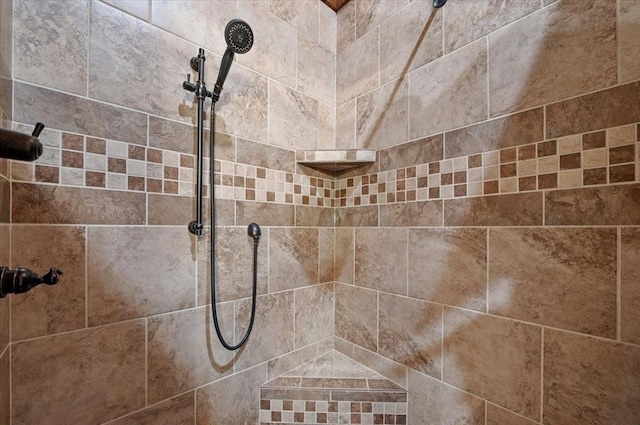 room details with tiled shower