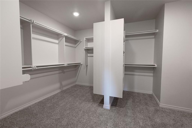 walk in closet with carpet flooring