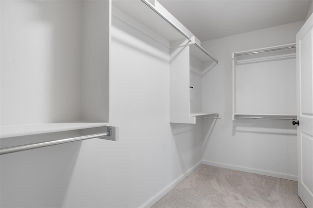 walk in closet featuring light colored carpet