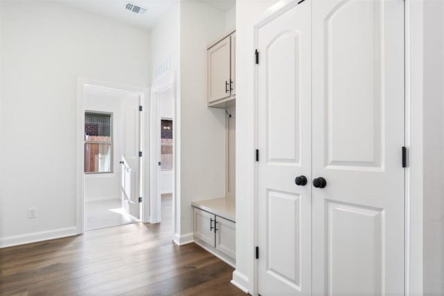 mudroom featuring dark wood-type flooring