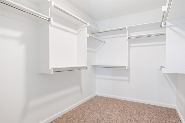 walk in closet featuring carpet