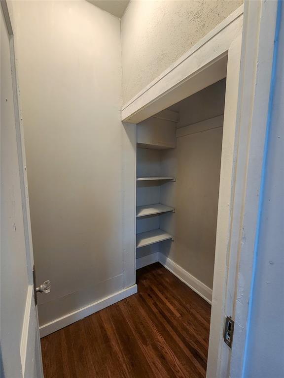 spacious closet featuring dark hardwood / wood-style floors