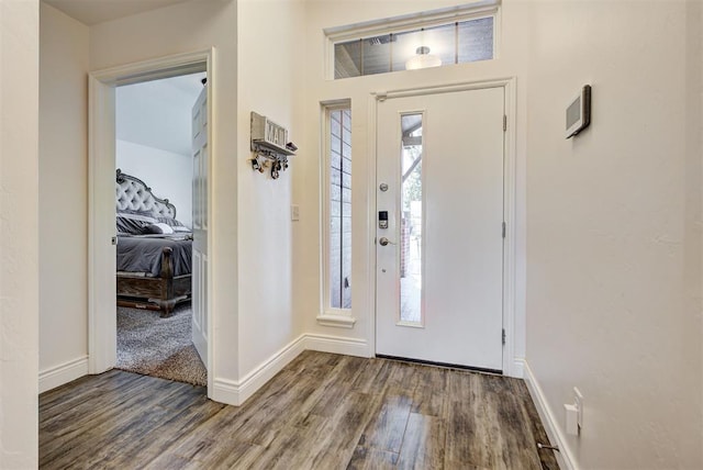 entrance foyer featuring wood-type flooring