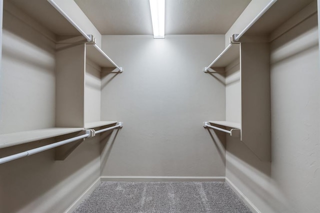 spacious closet featuring carpet