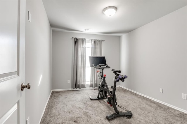 workout room featuring carpet flooring