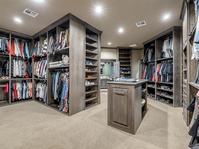 spacious closet with light carpet