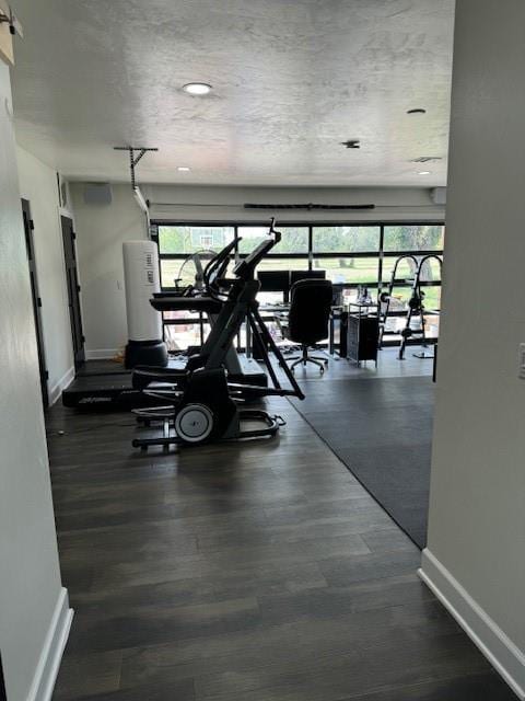 exercise room with dark hardwood / wood-style flooring