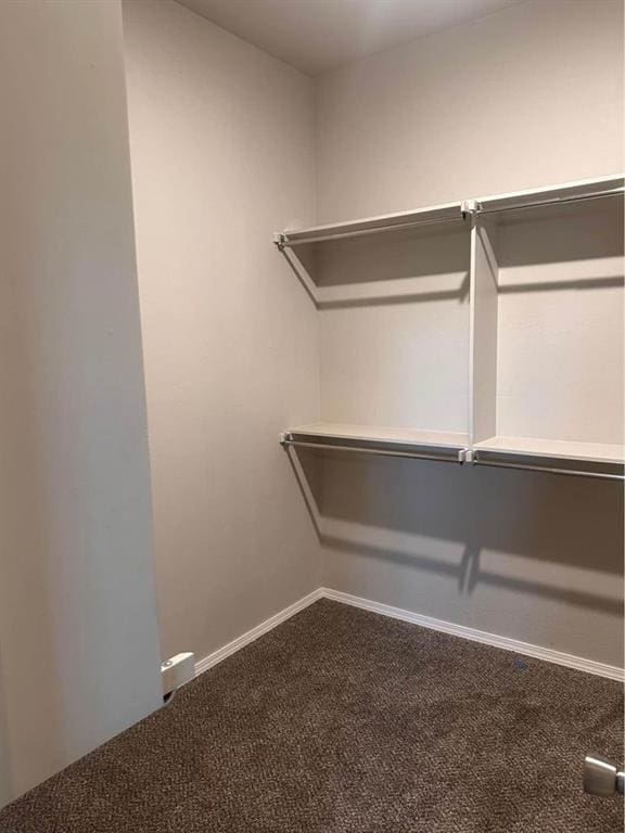 walk in closet featuring carpet