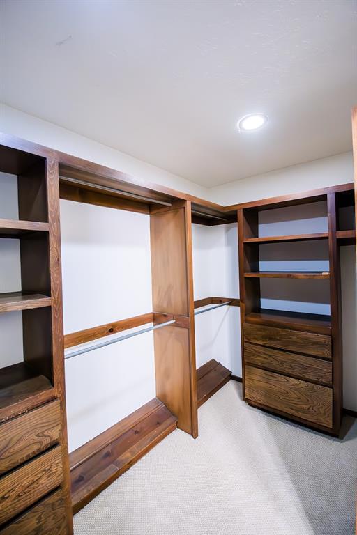 spacious closet with light colored carpet