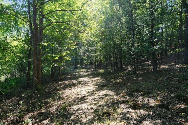 view of local wilderness