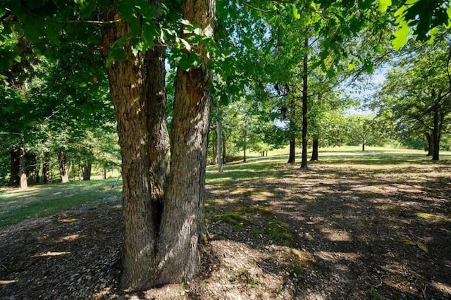 1857 S Peavey Xing, Broken Bow, OK 74728 - photo 40