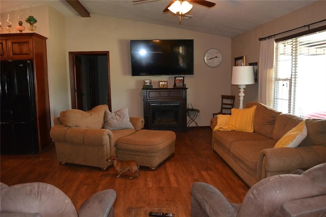 living room featuring ceiling fan, dark wood-type flooring, and lofted ceiling with beams