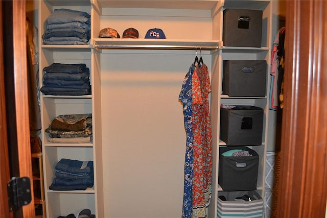 view of closet